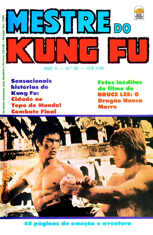 Mestre do Kung Fu # 20