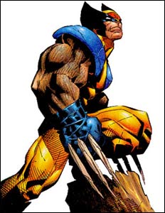 Wolverine, de Chris Bachalo