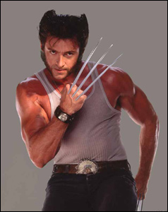 Wolverine