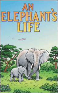 An Elephant's Life