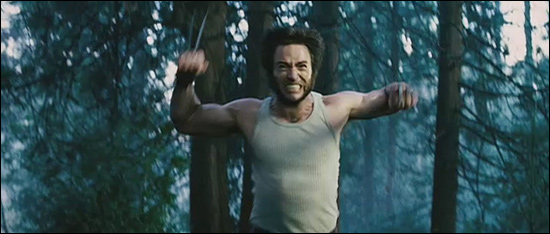 Wolverine