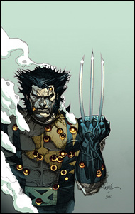 Wolverine de Leinil Yu