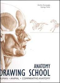 Anatomy Drawing School 