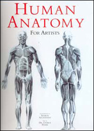 Human Anatomy for Artists