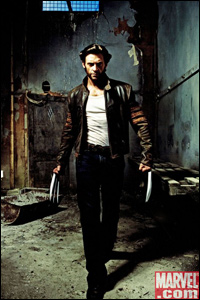 Wolverine